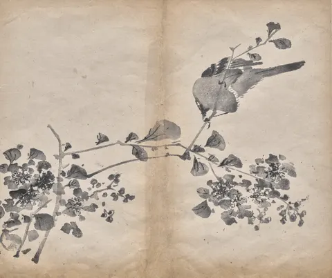 Blossoms